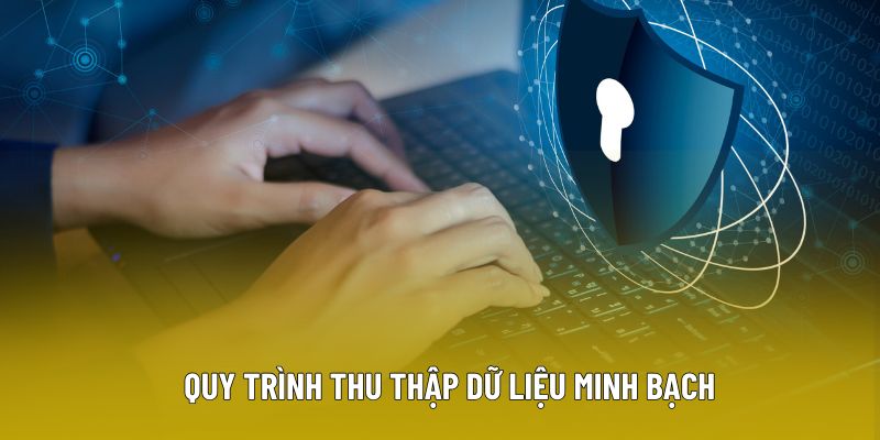 Quy trình thu thập dữ liệu minh bạch trong chính sách bảo mật